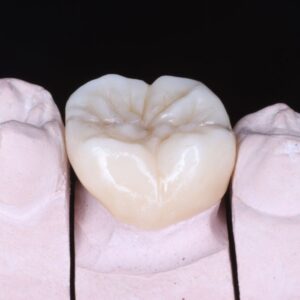 WhatsApp Image 2023-02-02 at 11.04.15 AM